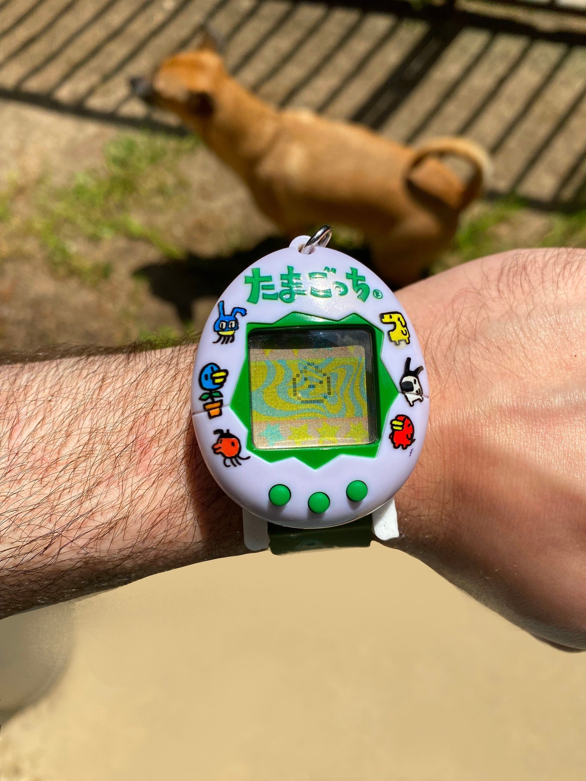 TamaWatchi vPet Adapter - Virtual Pets On Your Wrist! (limited Quantity!)